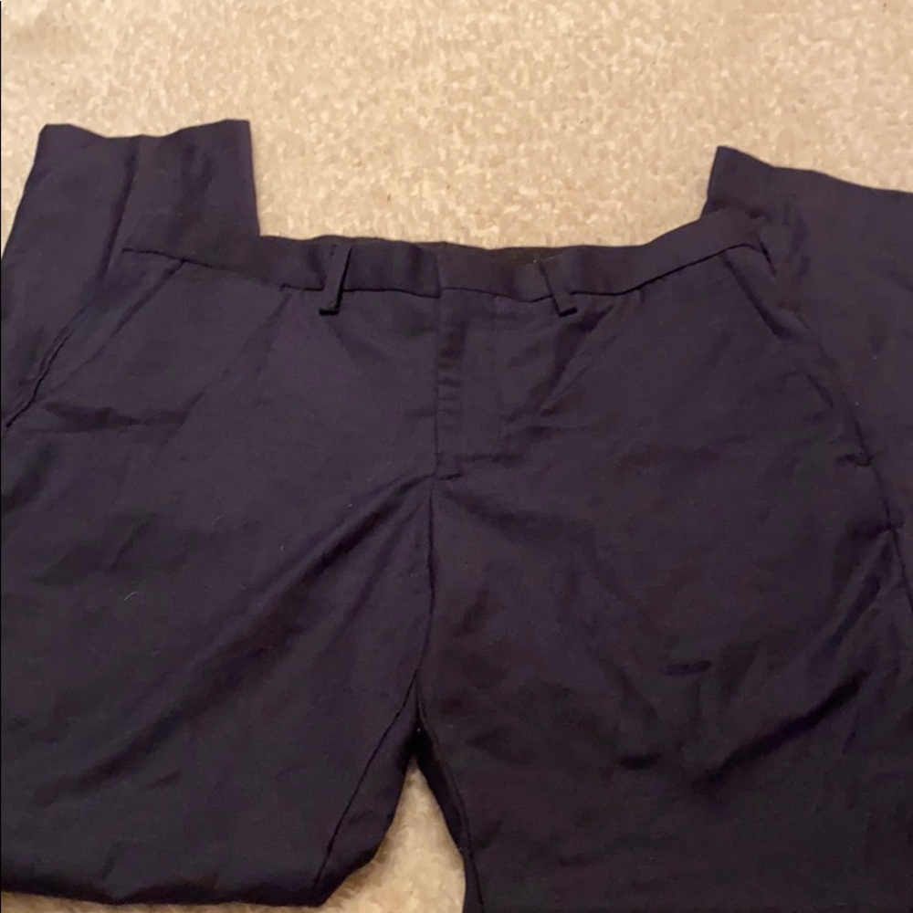 Express Dress Slacks 30x30